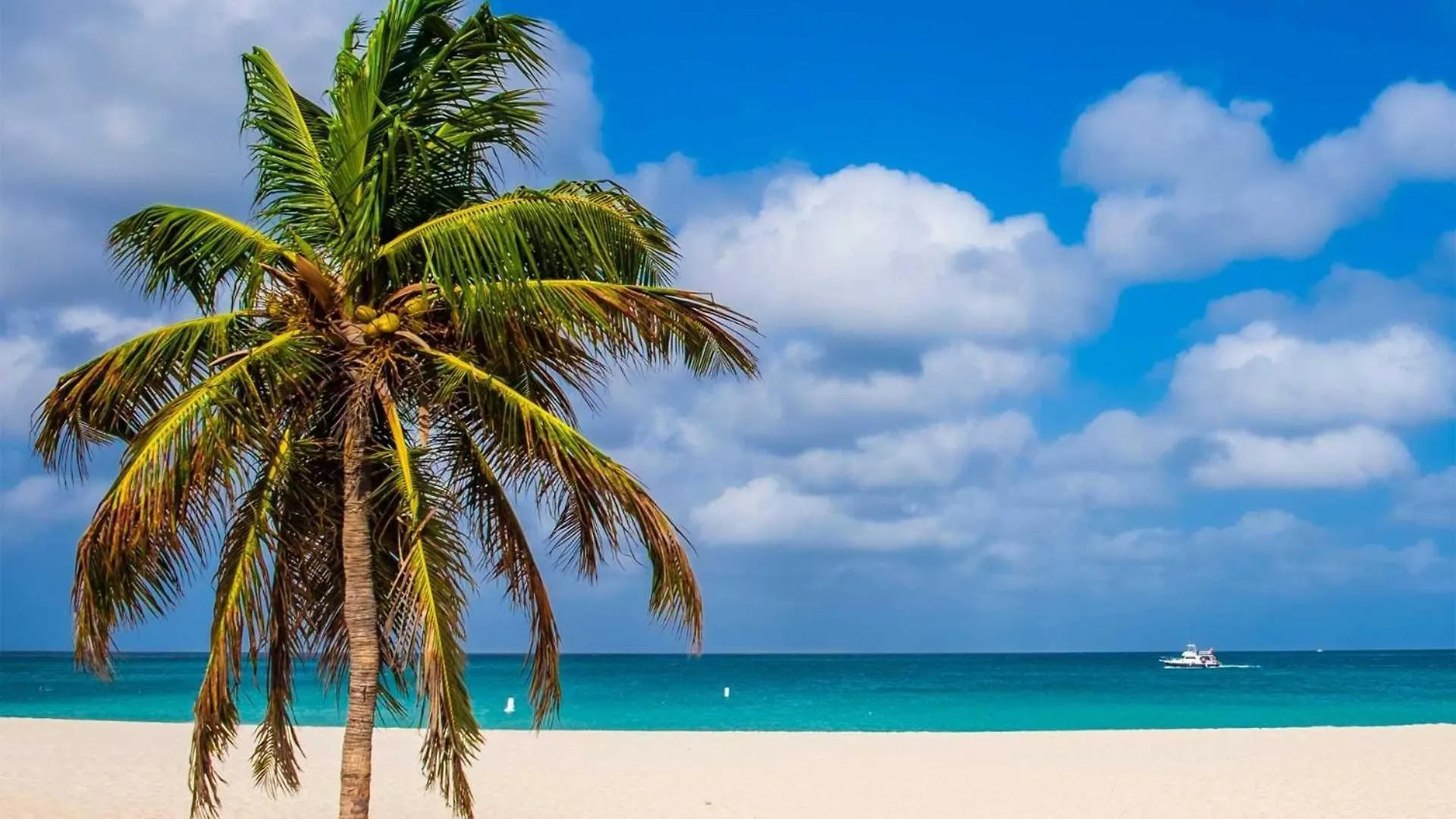 Beach View - Ocean Jewel 2Br Condo - Lv507 Palm Beach Vakantiehuis