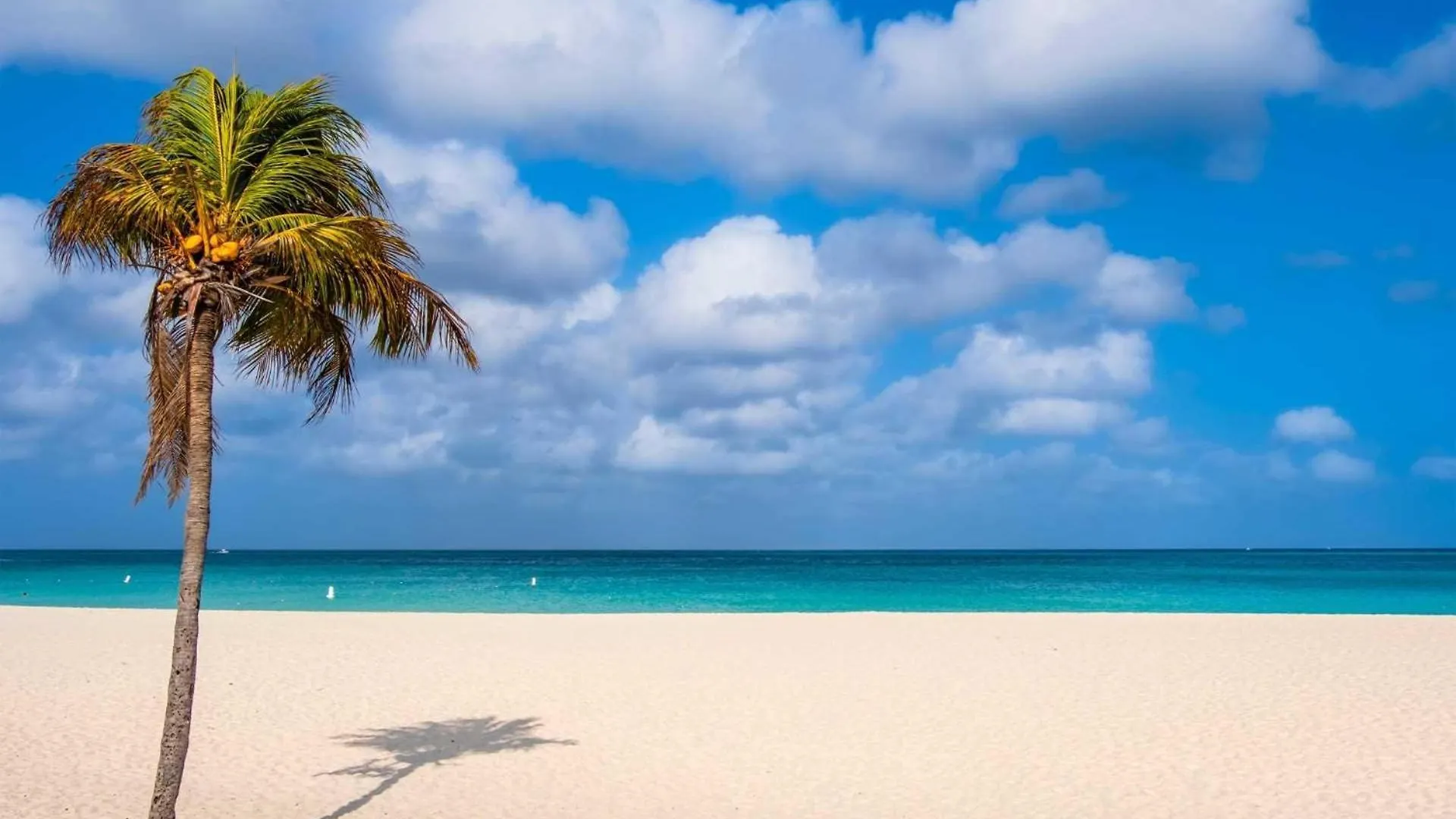 Vakantiehuis Beach View - Ocean Jewel 2Br Condo - Lv507 Palm Beach Aruba
