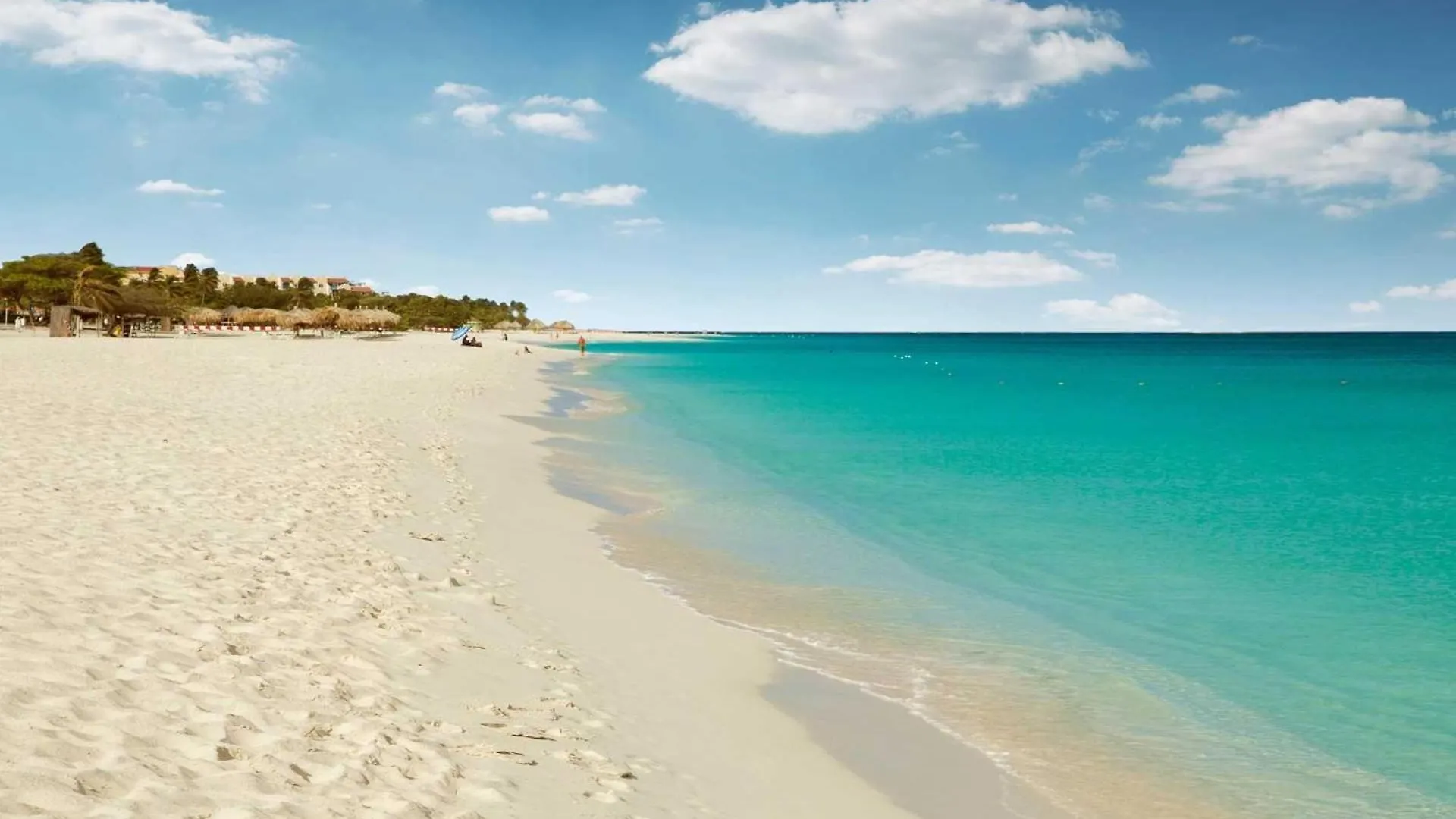 Beach View - Ocean Jewel 2Br Condo - Lv507 Palm Beach