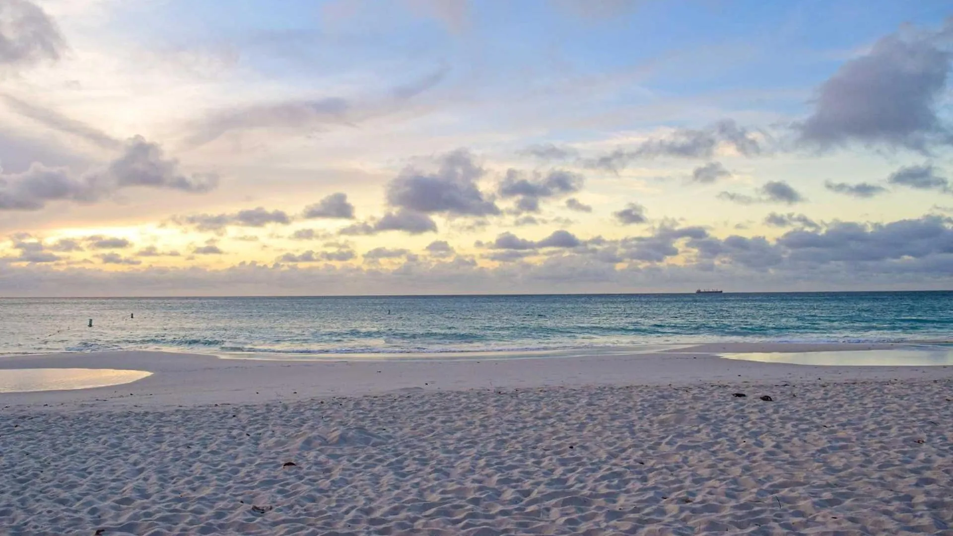 Beach View - Ocean Jewel 2Br Condo - Lv507 Palm Beach 0*,